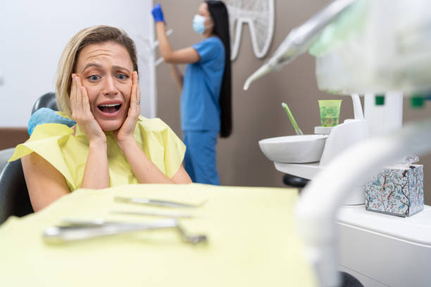 Best Emergency X-Rays and Diagnostics in Bertsch Oceanview, CA